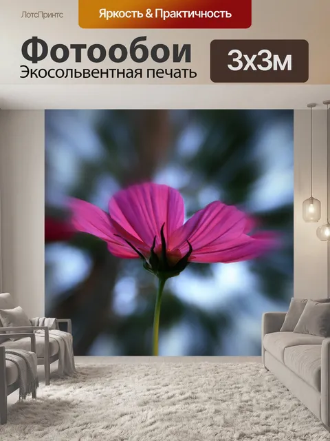 Фотообои увеличения взрыв космос
