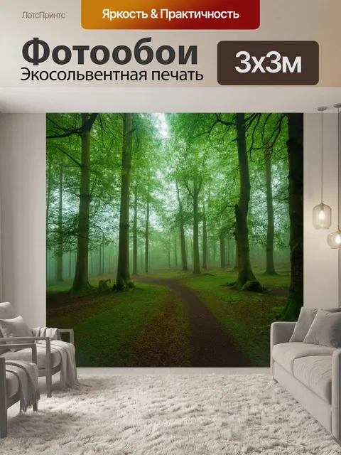 Фотообои англия: очаровательный лес с туманы и зелеными деревьями, создающий естественную зону для отдыха