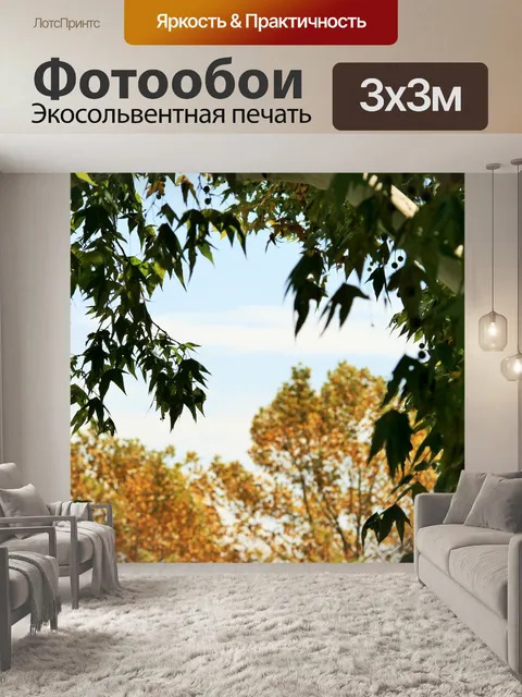 Фотообои клен обрамление желтое дерево