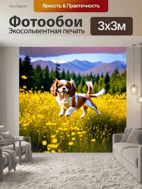 Фотообои щенок кавалер кинг чарльз спаниеля, весело скачущий по золотистому полю, которое усеяно дикими цветами