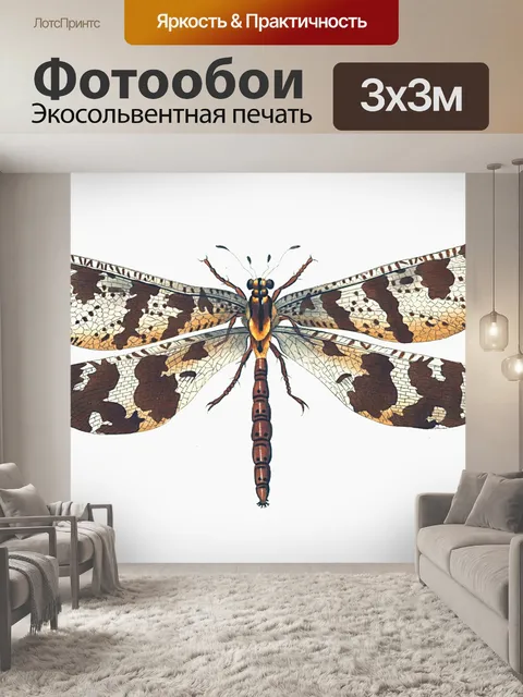 Фотообои Стрекоза коричневый винтажное искусство