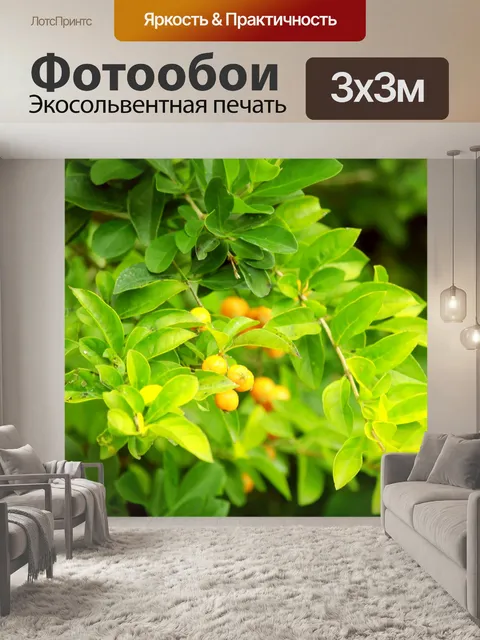 Фотообои Зеленые листья и плоды