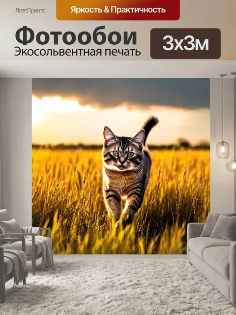 Фотообои кот, гуляющий по полям с высокими травами в золотистом свете заката, с облаками на фоне