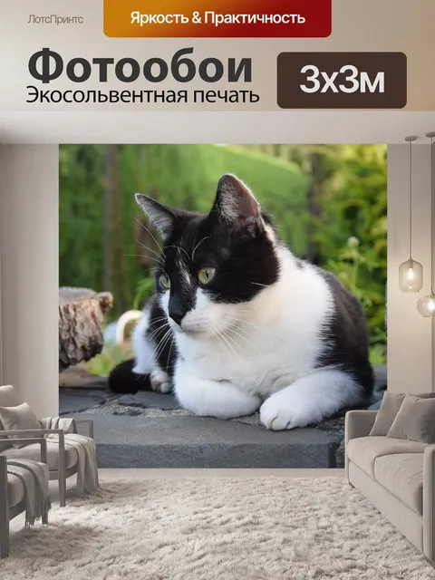 Фотообои Похмелье