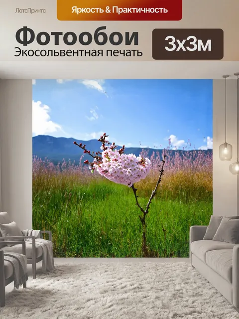 Фотообои сакура, окруженная высоким зеленым травами в пронзительно ясный весенний день, её цветы напоминают россыпь…