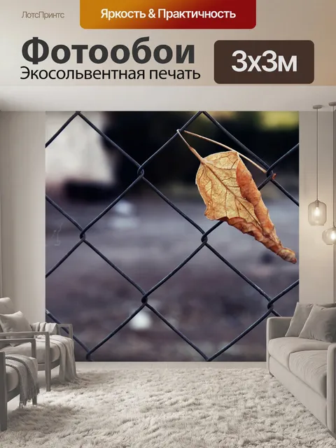 Фотообои Пойманный