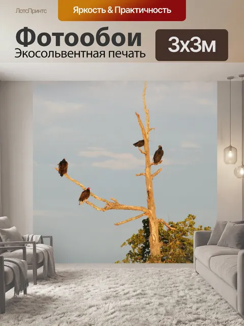 Фотообои Канюки сидели на высоком мертвом дереве