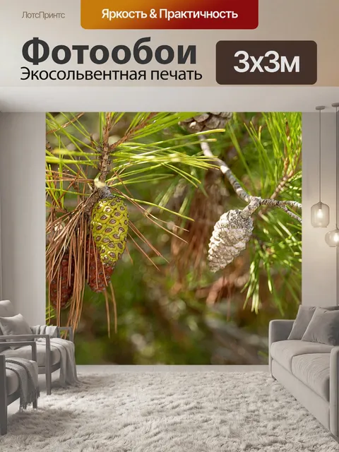 Фотообои Прованс