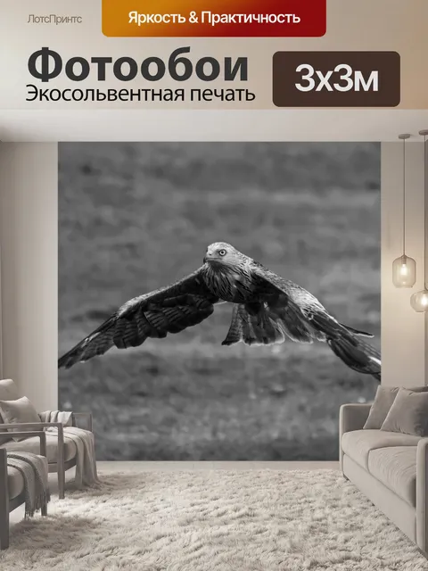 Фотообои Летающий змей