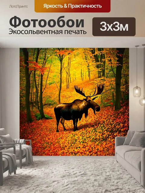 Фотообои в густом лесу, осенний листопад создает уникальную атмосферу, где бык рявкает, а лось, присаживаясь на…