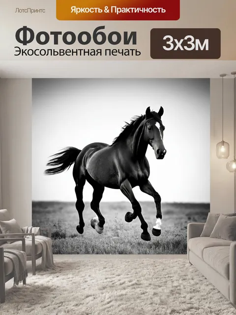 Фотообои животные в стиле черно-белый: лошадь, скачущая по полю, с динамичным движением и красивыми мускулами
