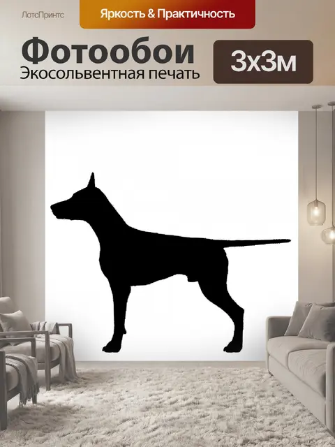 Фотообои доберман