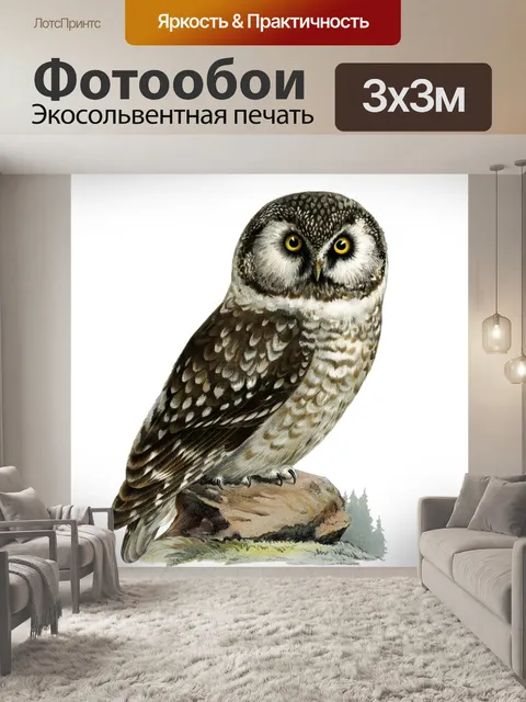 Фотообои Сова винтажный клипарт искусство