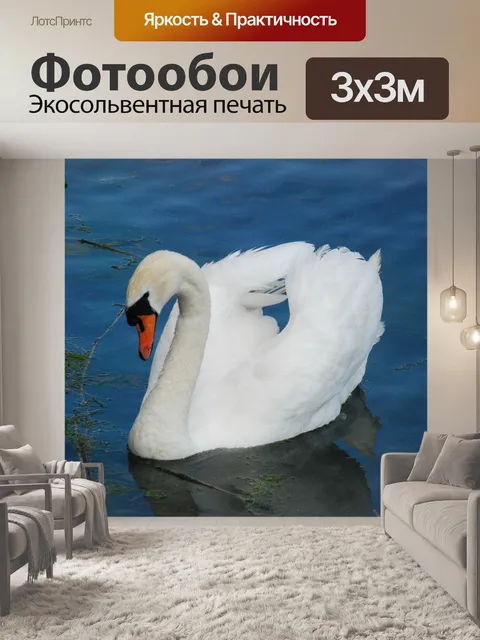Фотообои Лебедь