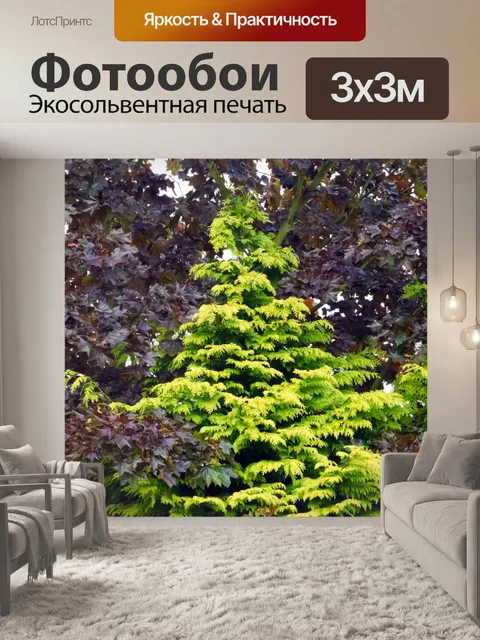 Фотообои Деревья