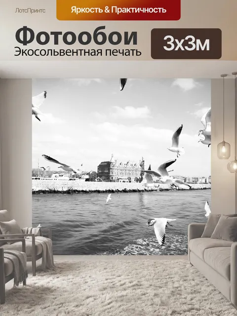 Фотообои Чайка