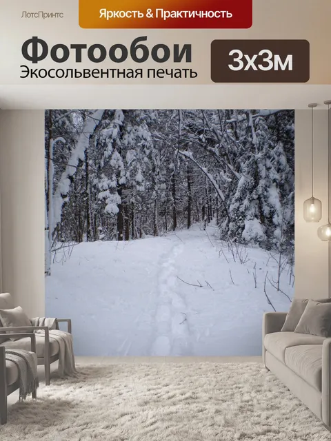 Фотообои Прогулка на снегоступах
