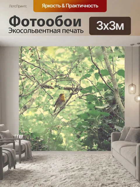 Фотообои Робин на деревьях