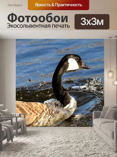 Фотообои Гусь