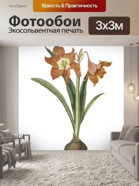 Фотообои Цветы