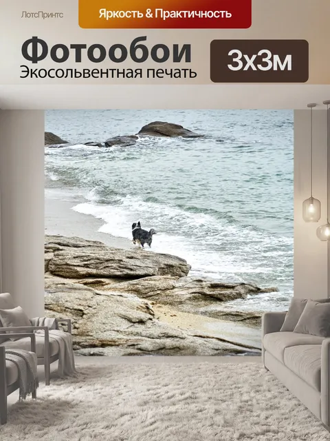 Фотообои Собака у моря