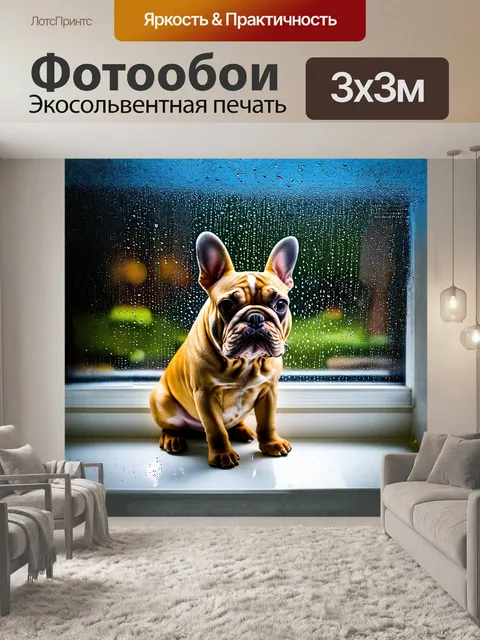 Фотообои исси, французский бульдог, сидит на подоконнике, наблюдая за дождем за окном