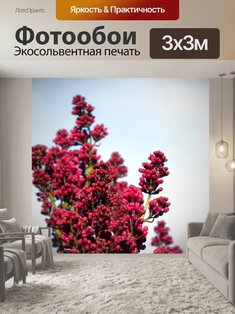 Фотообои Цветы