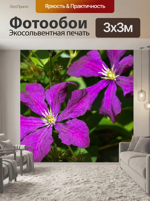 Фотообои Чернослив