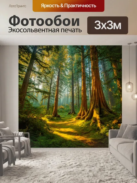 Фотообои сказочный лес с высокими деревьями