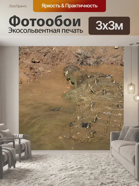 Фотообои Коста-Рика Крокодил