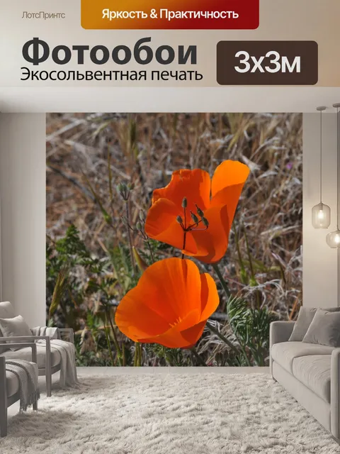 Фотообои Цветы мака