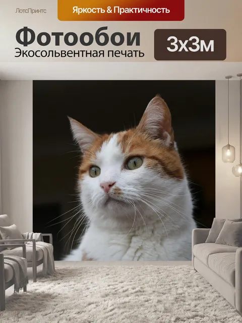 Фотообои Кошка