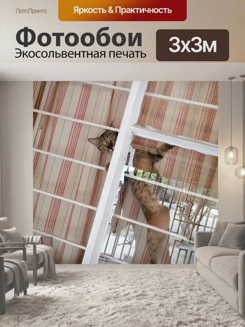 Фотообои Пойманный