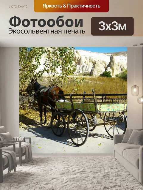 Фотообои Тренер