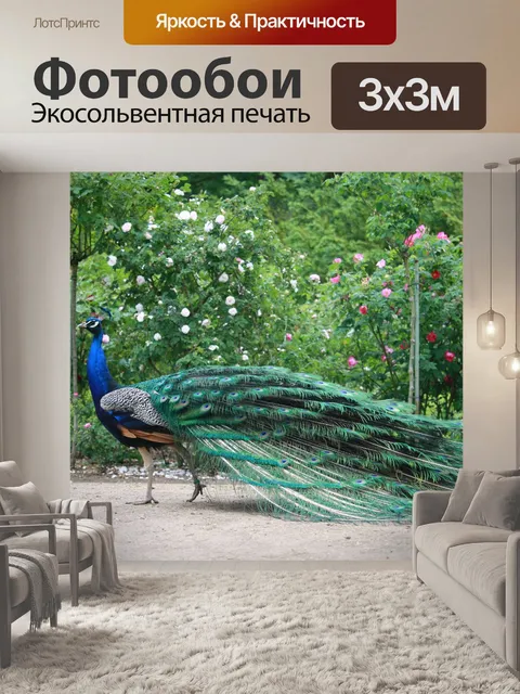 Фотообои Павлин