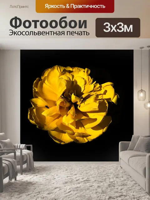 Фотообои Цветок
