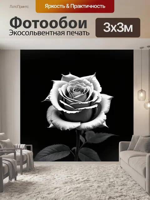 Фотообои розы в стиле черно-белый