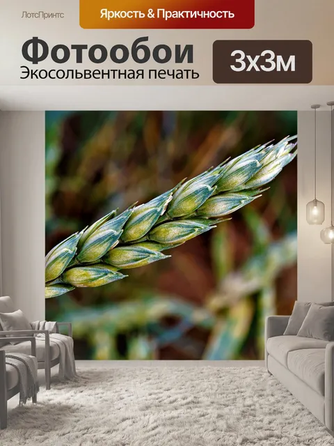 Фотообои Пшеничный колос
