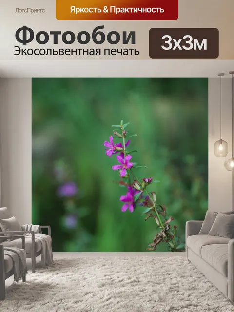 Фотообои Полевые цветы