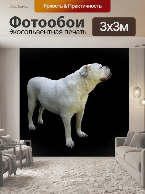 Фотообои Собака