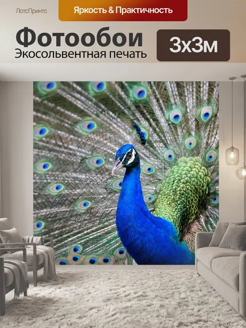 Фотообои Павлин