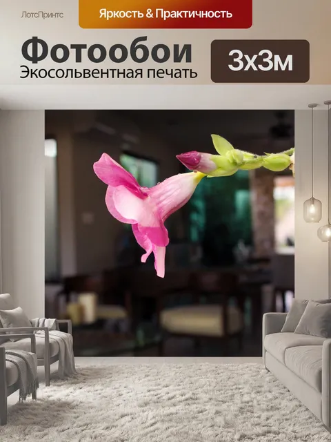 Фотообои Роза
