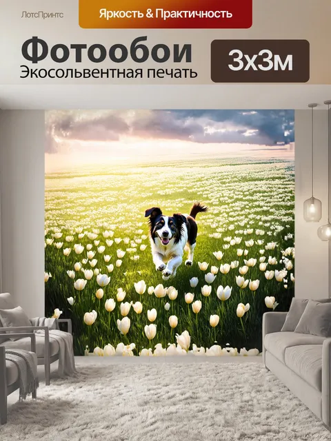 Фотообои черно-белая собака, пробегающая по бескрайнему полю, усыпанному белыми тюльпанами, каждое движение оставляет…