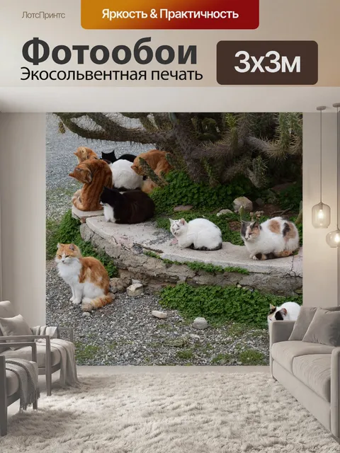 Фотообои Кошки