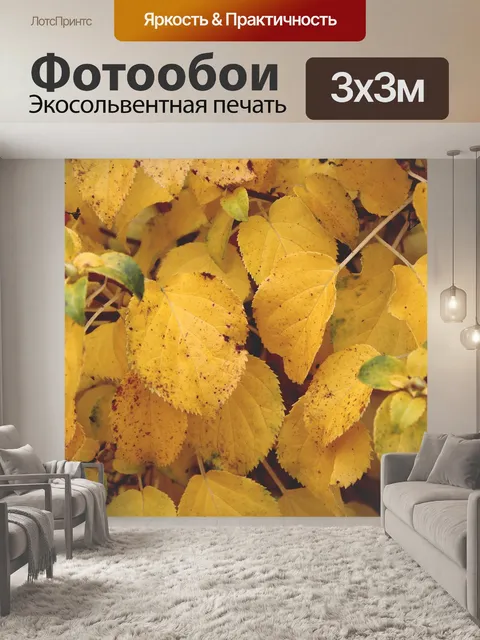 Фотообои Куст