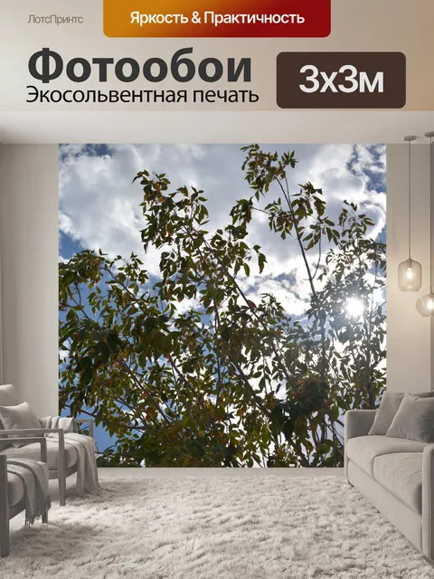 Фотообои Красочные осенние листья листопад