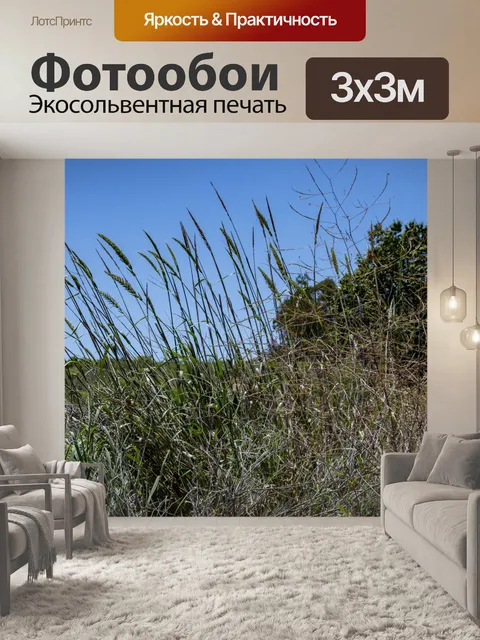 Фотообои трава в кустах