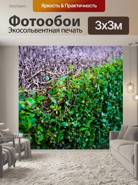 Фотообои Хеджировать