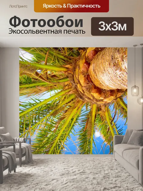 Фотообои Пальма и голубое небо