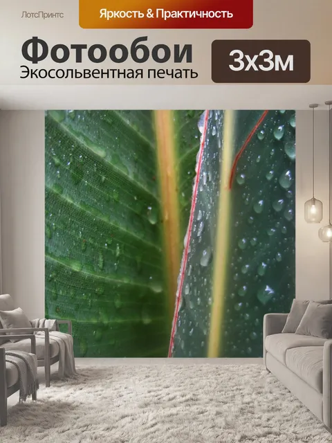 Фотообои перекрывающиеся Стрелиция листья